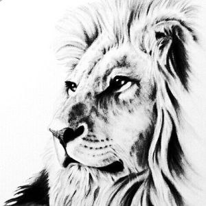 Meet your Posher, Mei